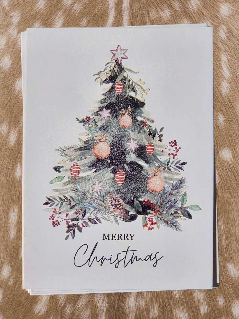 N/A set festive